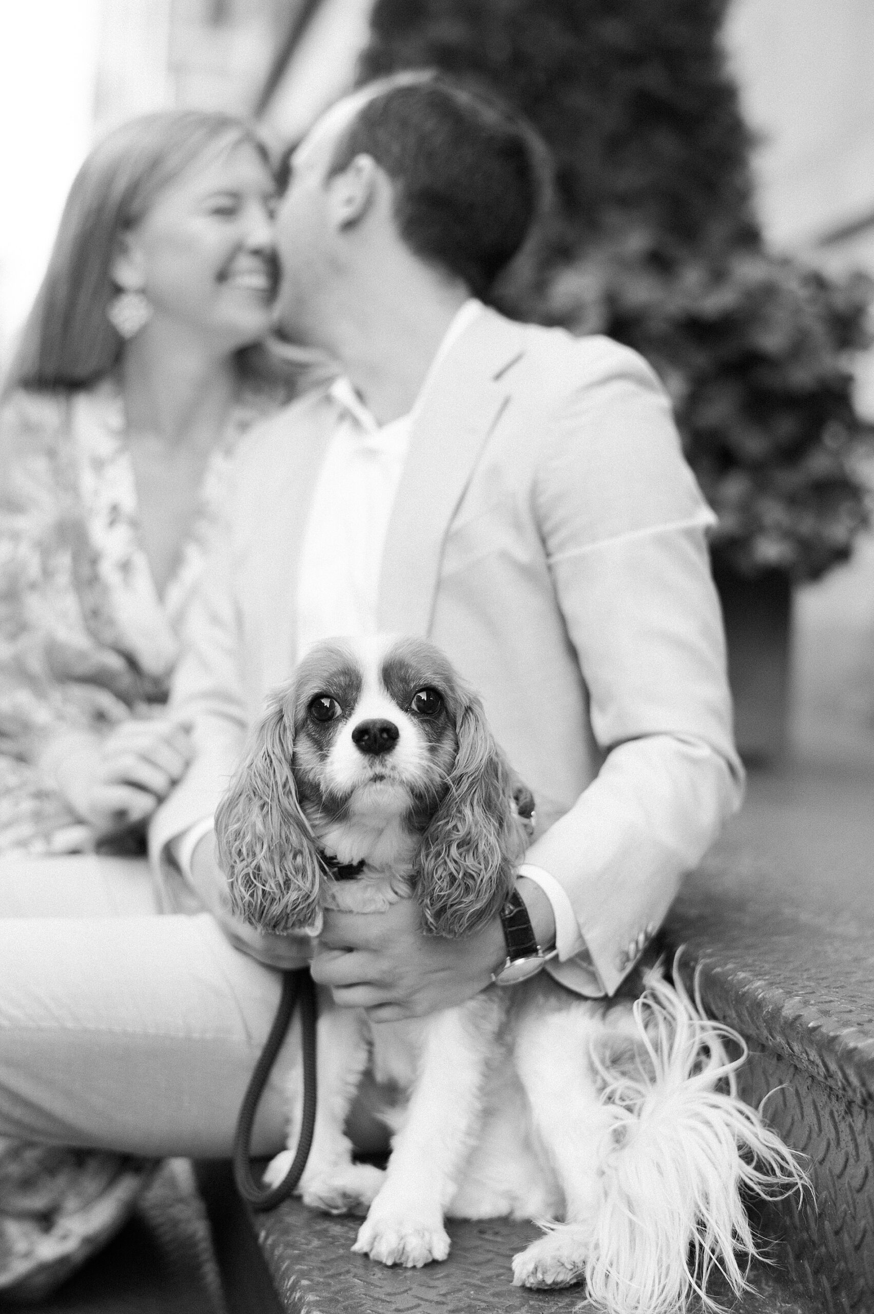 engagement photos with dog 