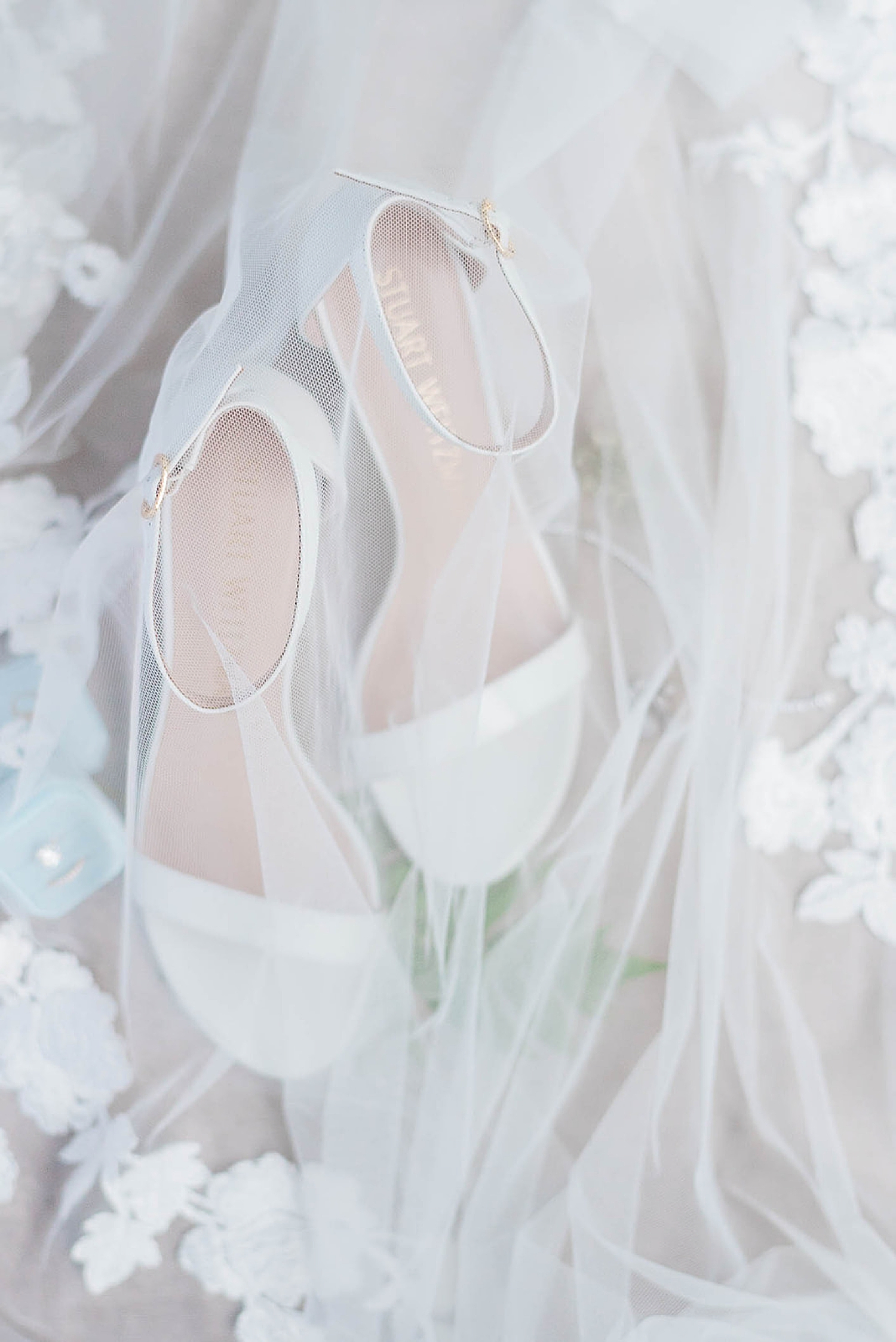 bridal details with veil overtop