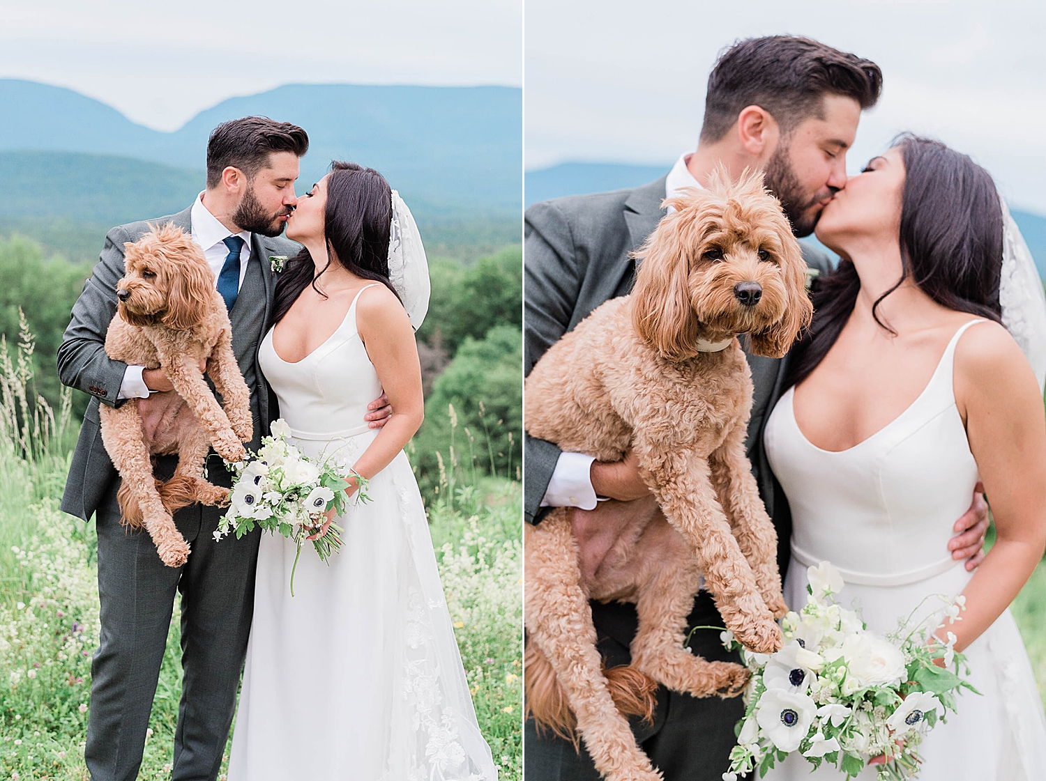 newlywed portraits with their dog