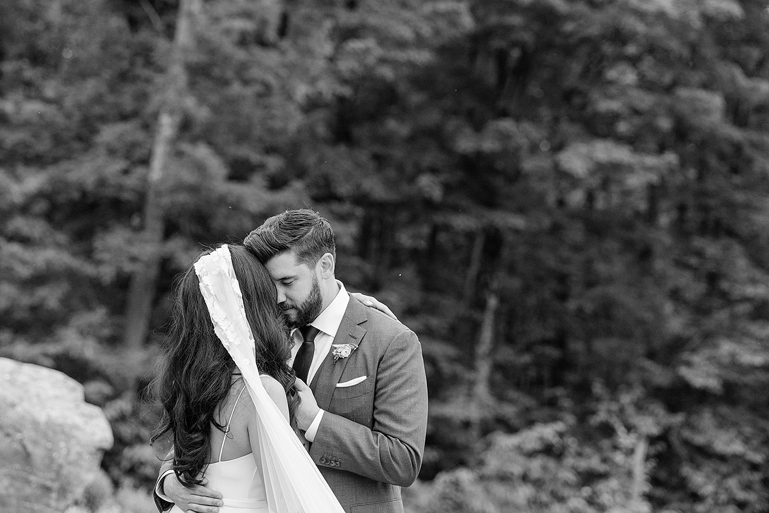 newlyweds share intimate moment on mountaintop