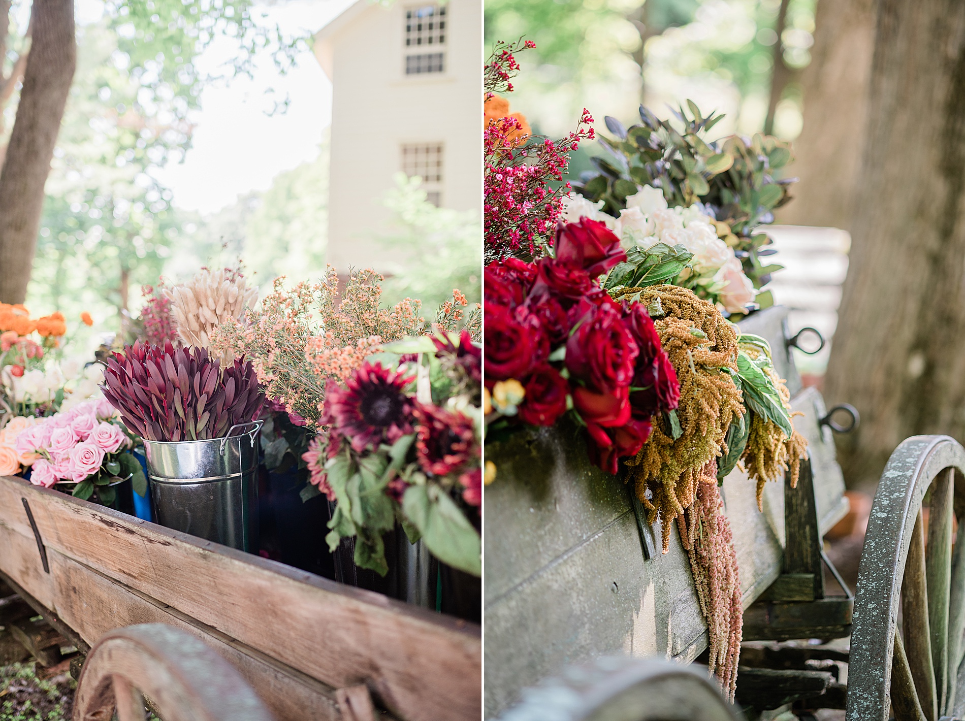 flowers hanging over side of wagon