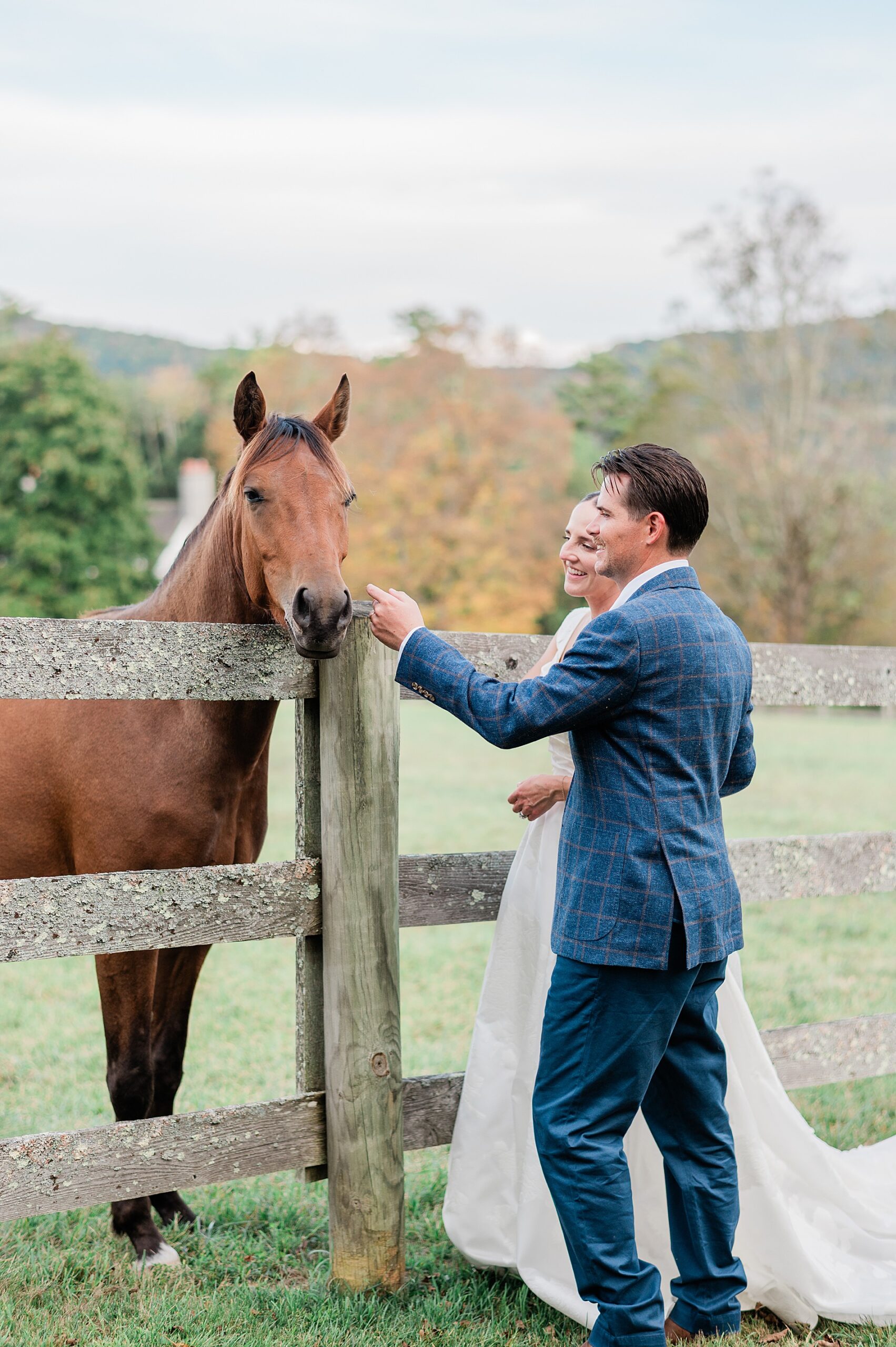 bride and groom pet their horse
