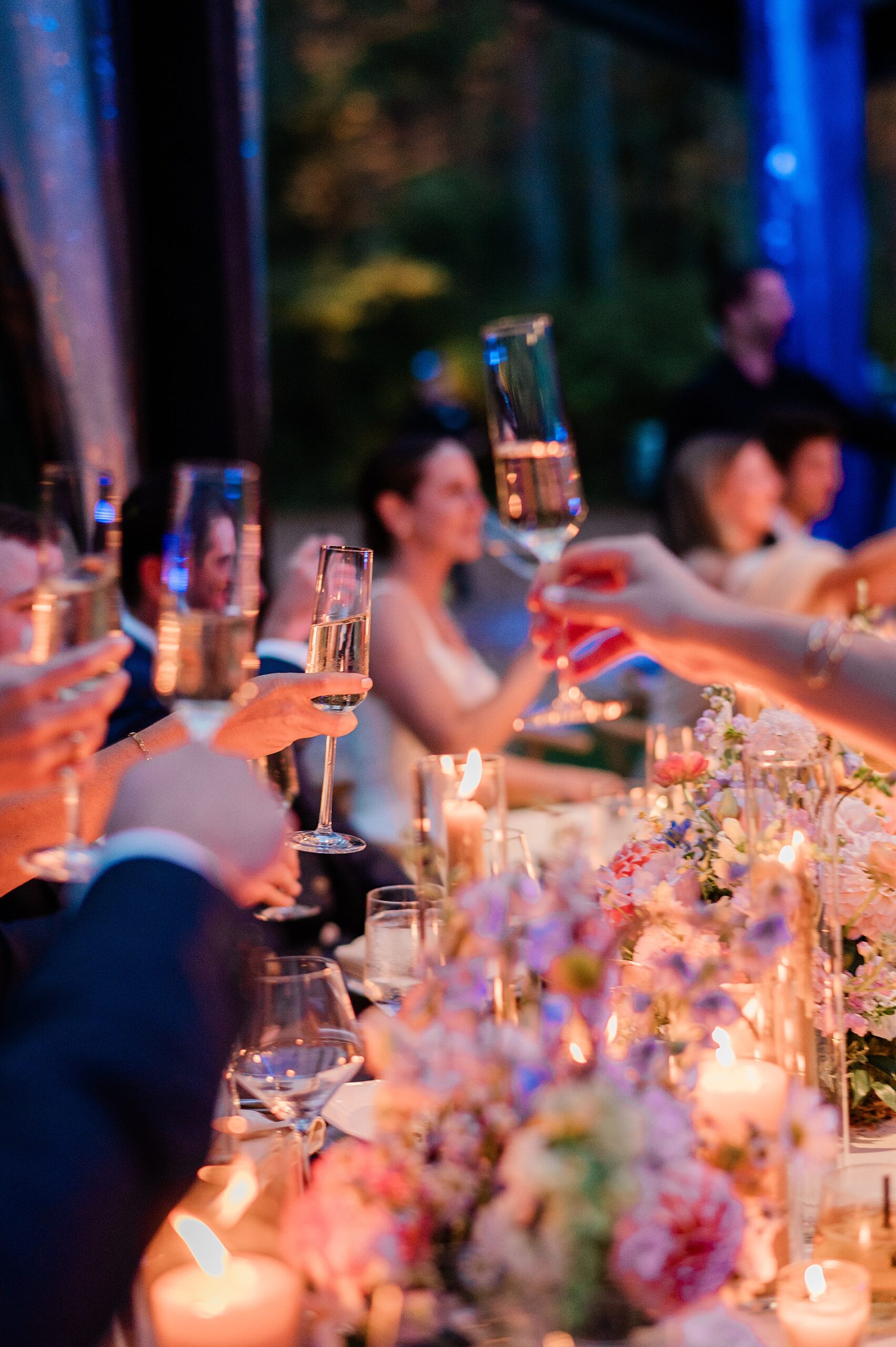 guests raise their glasses in a toast