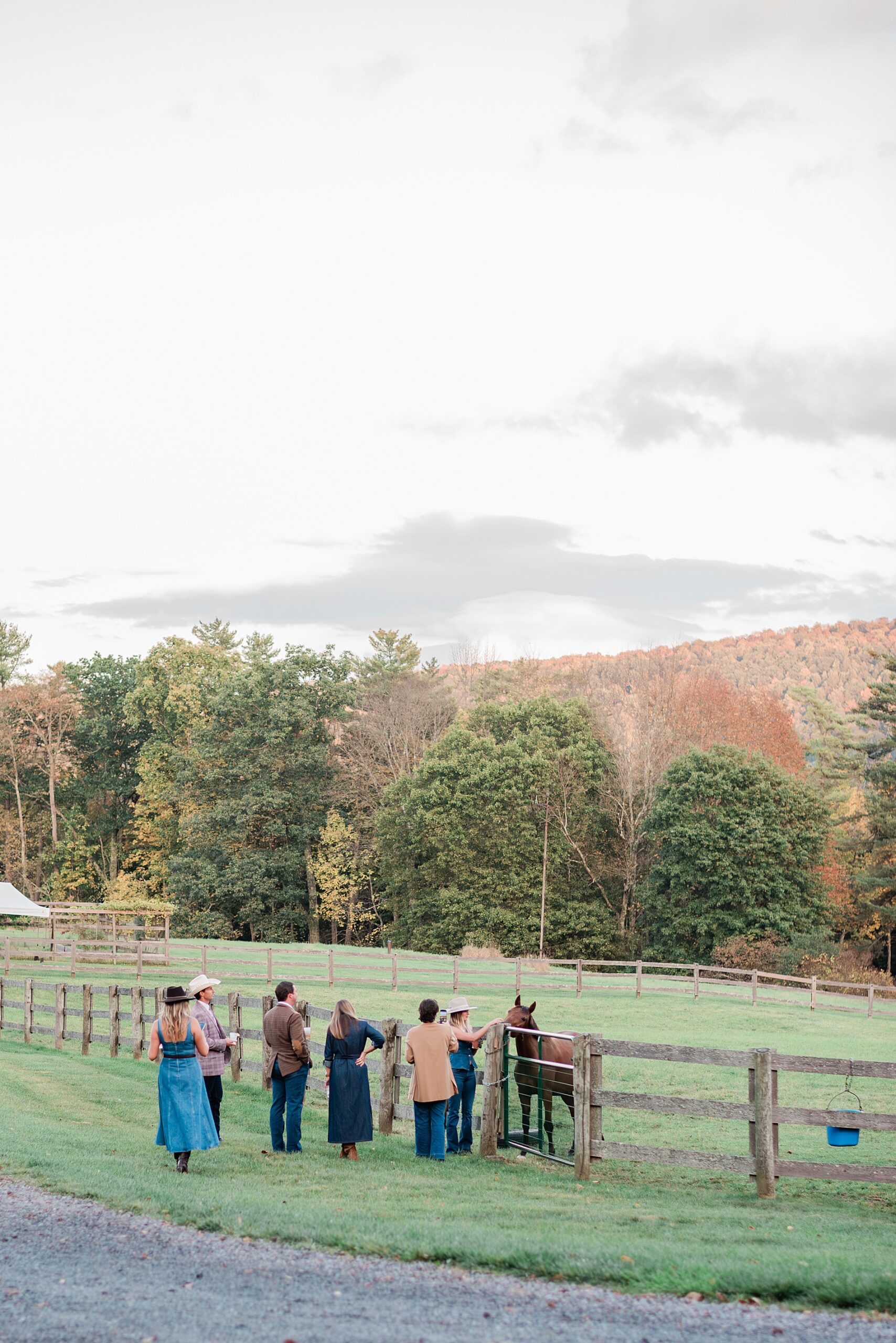 guests greet horse on property before Western Themed Wedding Welcome Party