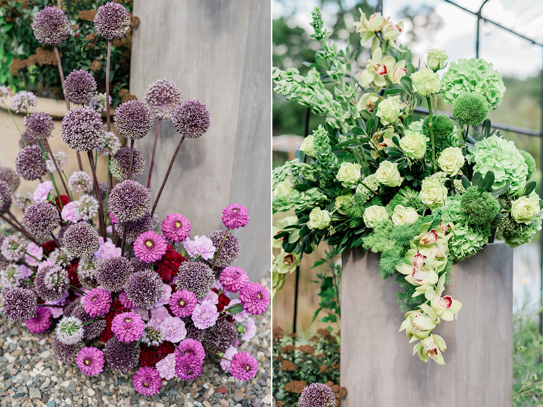 purple and light green flowers