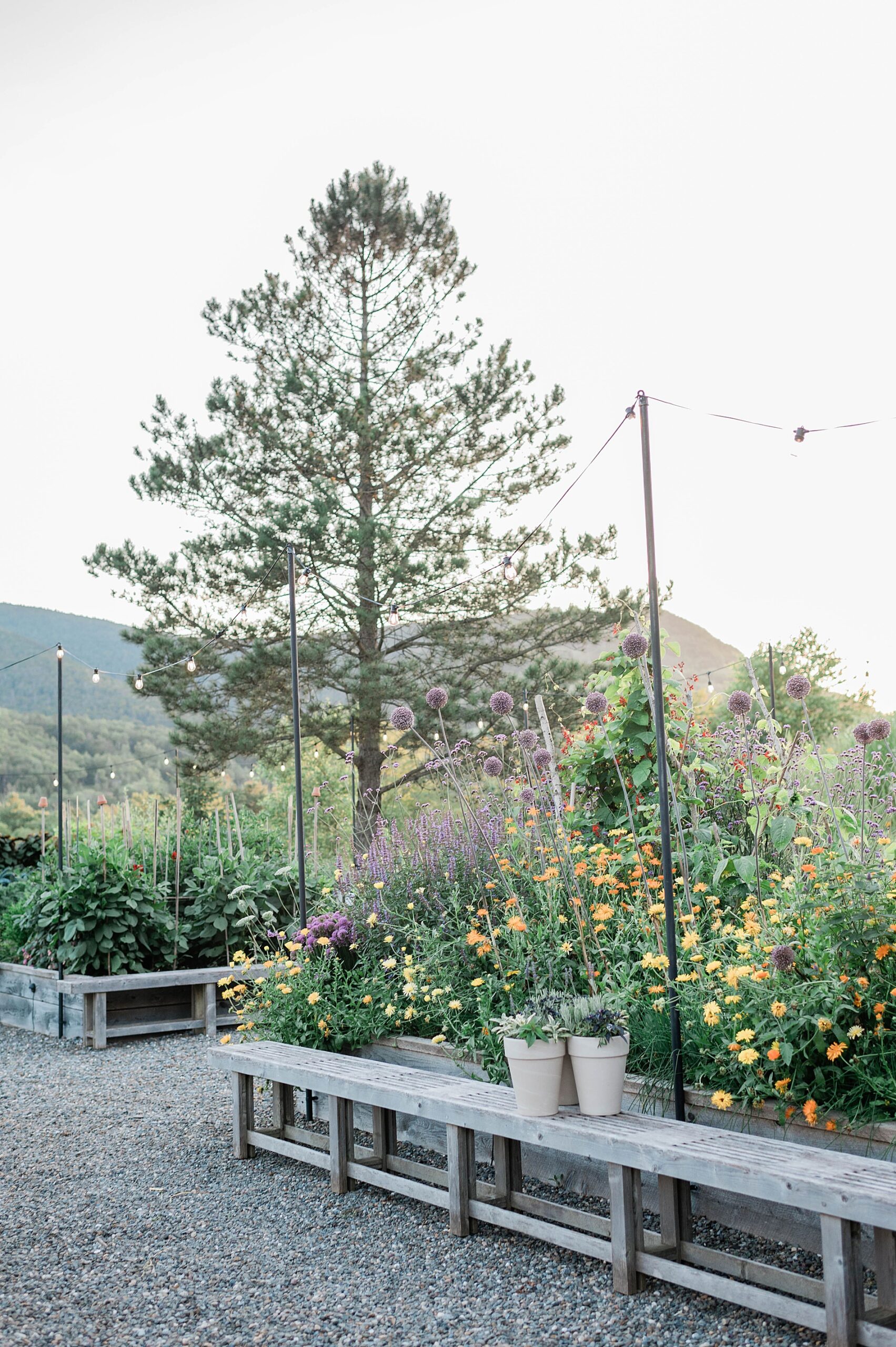 colorful flowers surround the patio at Scribner’s Lodge