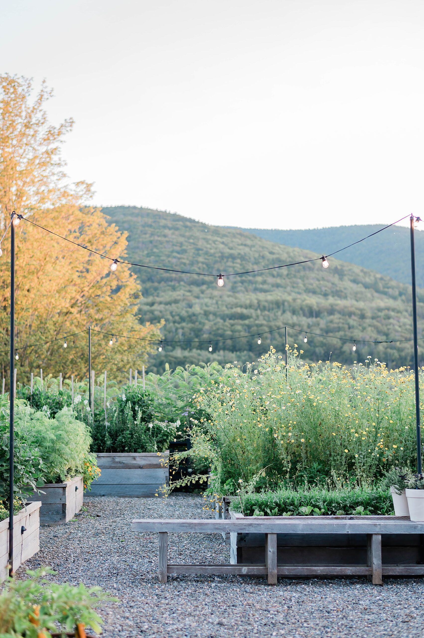 views of Hunter Mountain from Scribner’s Lodge