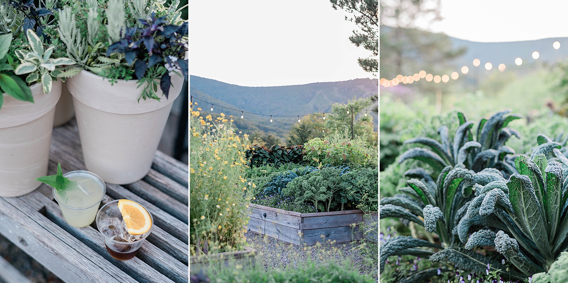 flowers and greenery in Scribner’s Garden for welcome party