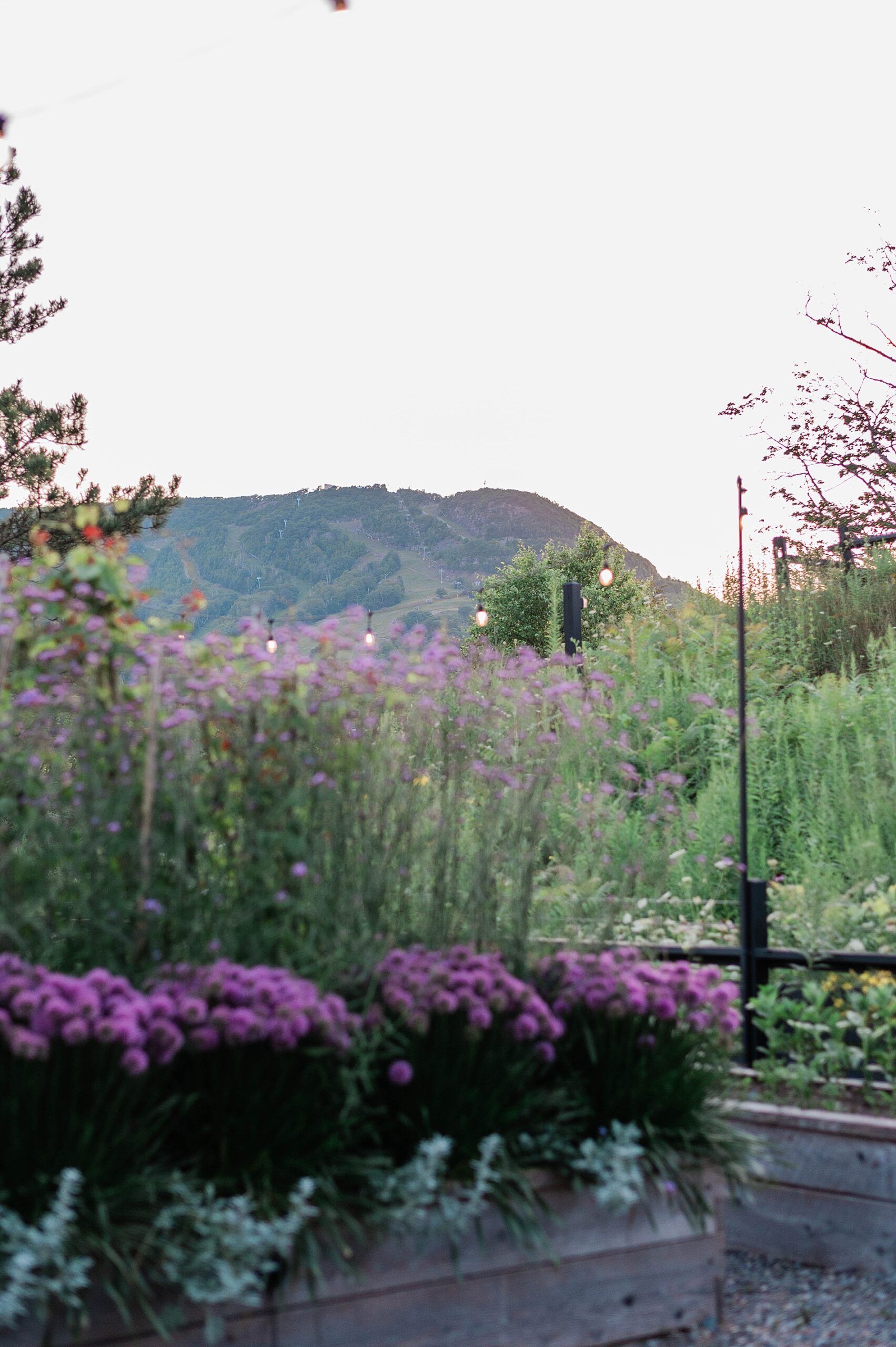 Mountain views from Scribner’s Lodge in Hunter, NY