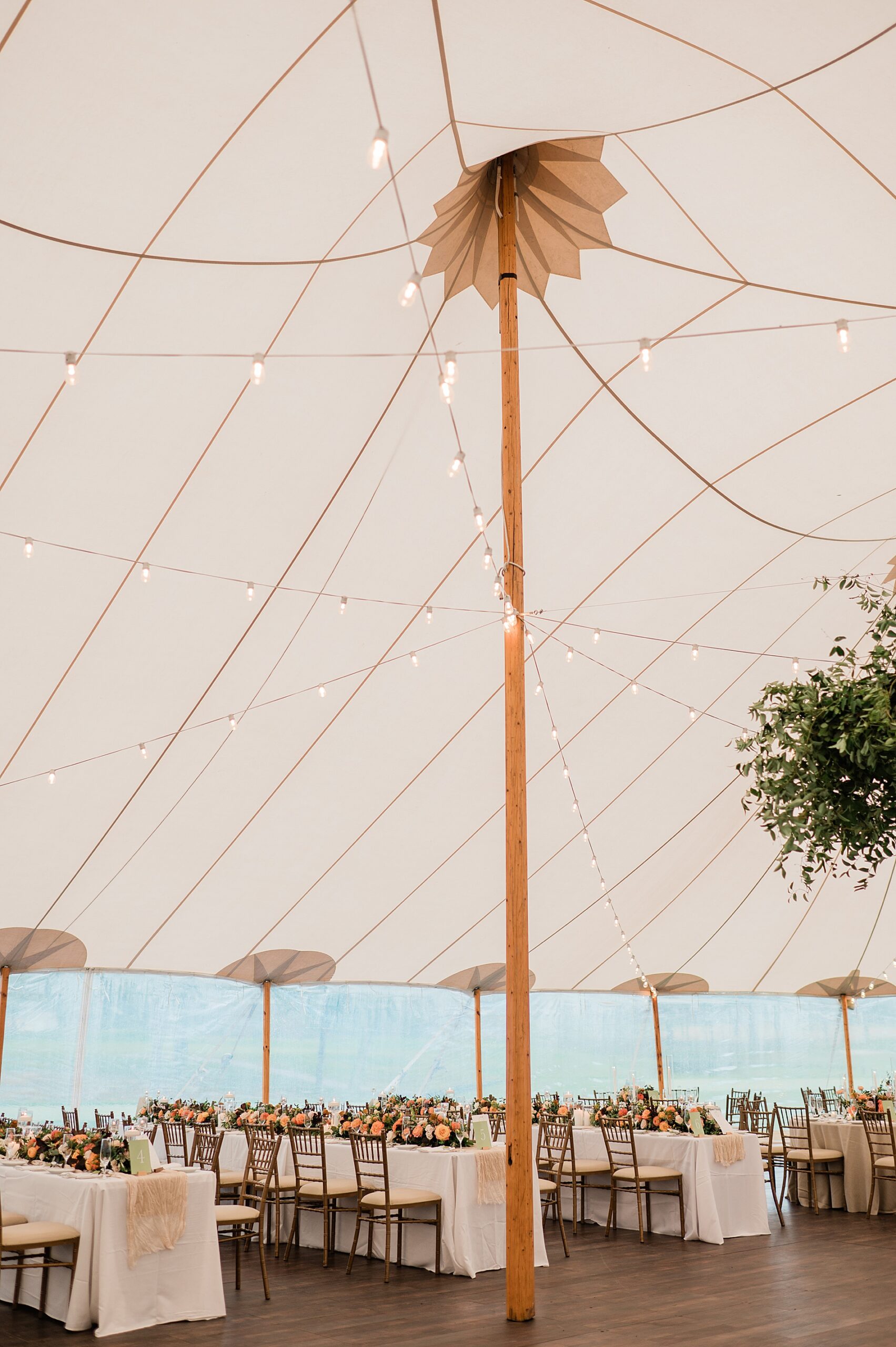 stringed lights hang from ceiling of sperry tent